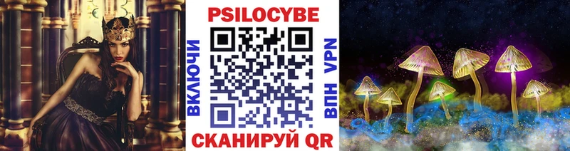 Псилоцибиновые грибы Cubensis Полярный