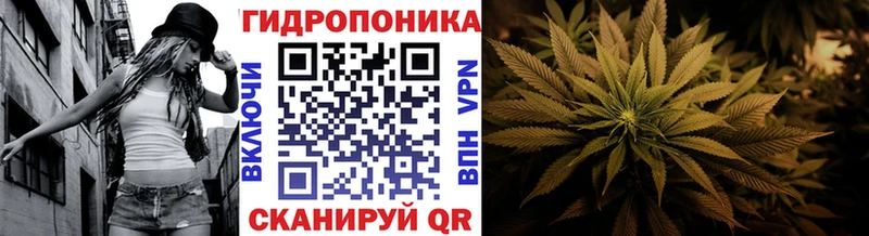 дарк нет официальный сайт  Полярный  МАРИХУАНА сатива 